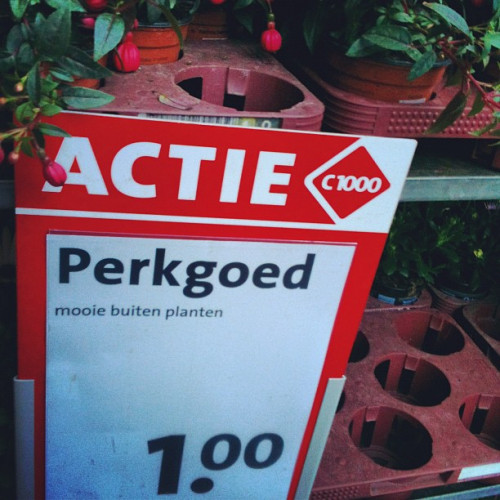 De mooie moet je buiten planten, de lelijke blijven binnen.