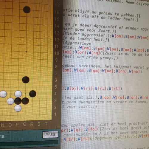 Gister heb ik zo hard generd dat mijn code-programma nu zelfs SGF-bestanden kleurtjes geeft.